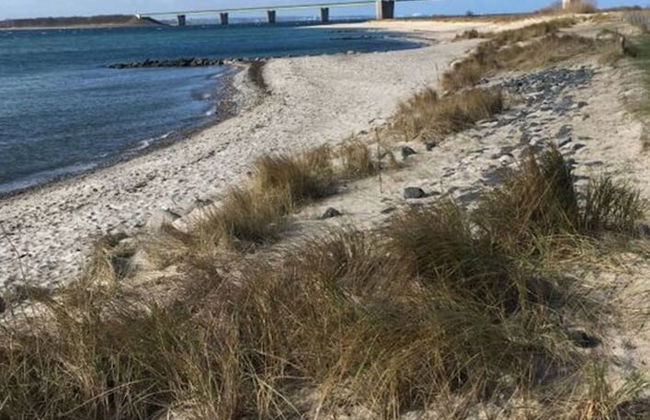 Lillehus Modern Retreat - Foto 16