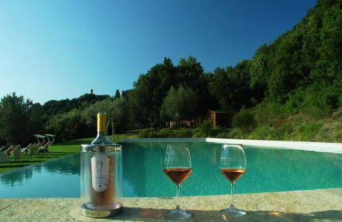 Castello Ginori Di Querceto - Foto 61