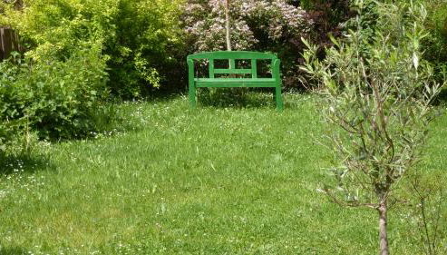 Alte Schule - Foto 5