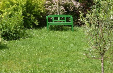 Alte Schule - Foto 5