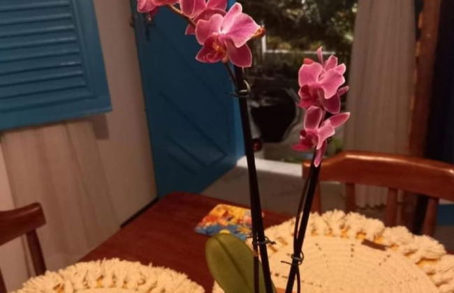 Residencial Casa Flor Atelier Botânico, Ponta Negra - Foto 14