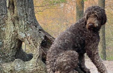 The Sanctuary at Deer Dune , Saugatuck - Foto 67