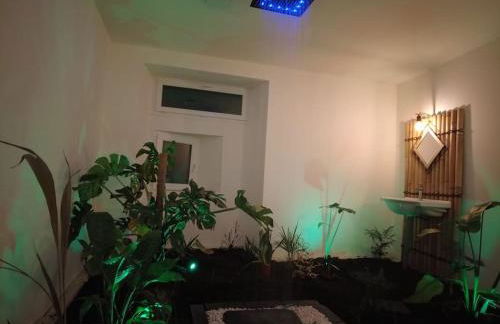 Le Jardin d'Eden -Appartement de charme avec Sauna, Hammam, spa - Foto 8