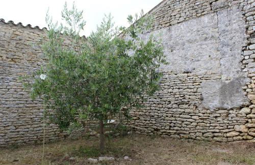 Maison de Maître à Saint-Georges-d'Oléron - 18 couchages - Animaux admis - FR-1-246A-61 - Foto 26