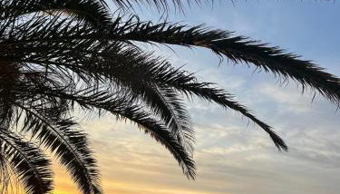 Apartment 98A7 - Foto 1