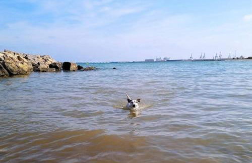 Precioso apartamento en Canet d,en Berenger - Photo 8