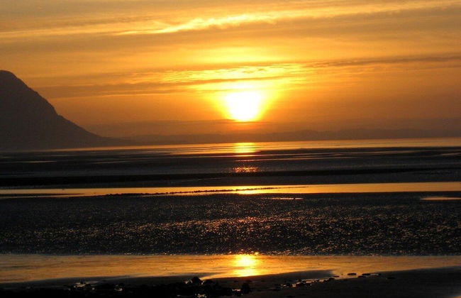 Superb Cintra Apartments - Foto 53