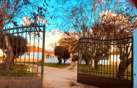 Casas Herdade do Convento da Serra - Foto 48