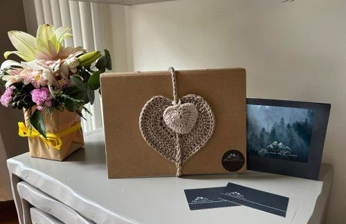 Maison Du Coeur Champoluc - Spa, Gym e aree relax - Foto 37