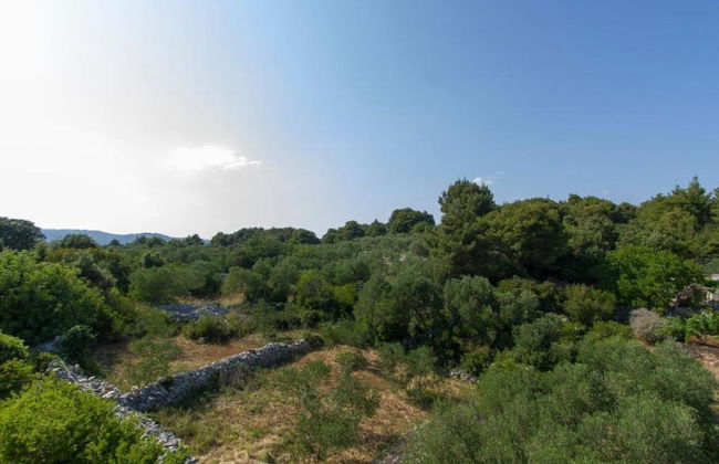 Apartments Villa Olea - Foto 58