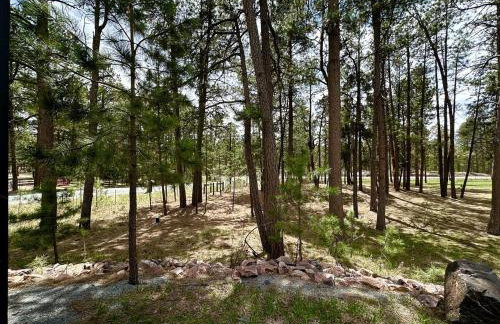 Quaint Rustic Cabin Surrounded by Nature in Black Forest, Colorado - Foto 12