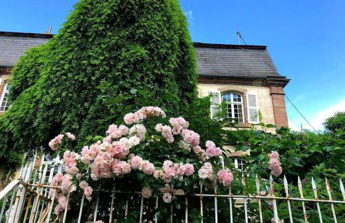 Schloss Hilbringen - Foto 47