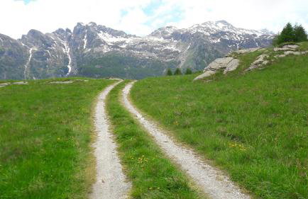 Baita dei Pini - Photo 61