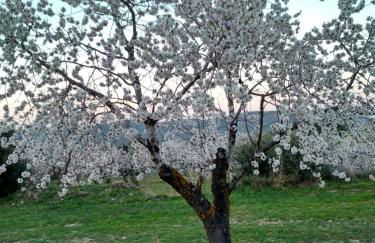 Casa rural Rosa - Foto 21