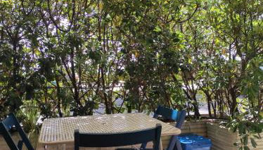 La Tana - Foto 4, Garden, Garden view