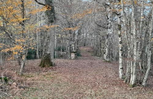 Chateau Chandler 17eme, Vallee de la Loire, Sologne, Centre Val de Loire - Foto 22