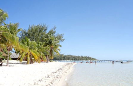 Residence Moorea Sunset Beach - Foto 44