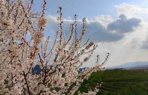 Casa Tormena - Foto 48