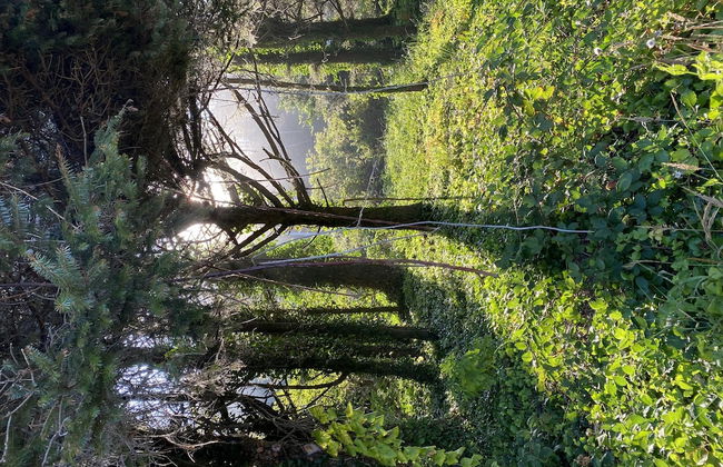 Oceanfront Cabin 4 With Jacuzzi Stunning Views - Foto 18