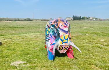 MAS DES PAZ - Foto 46