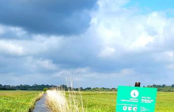 Entre Ciel et Marais - Foto 66