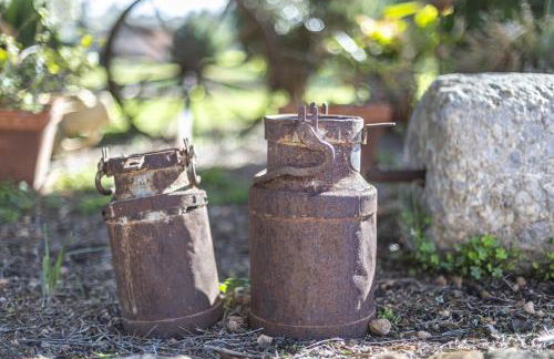 Finca Som Llum - Photo 26