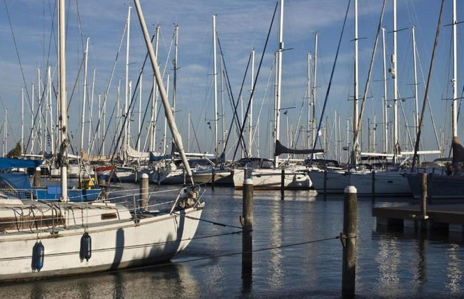 Detached House With Dishwasher Near Hoorn - Foto 38