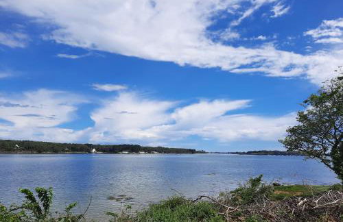 Maison au bord de l'eau - Foto 4