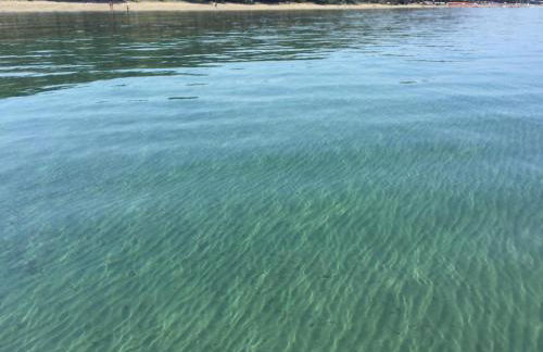 Punta Ala - Tra mare e natura - Foto 29