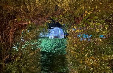 Monte do Bidé Private Farm Peace and Nature - Foto 5