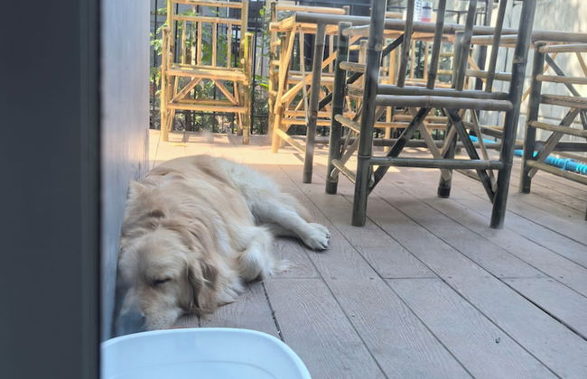 lover house - Foto 6