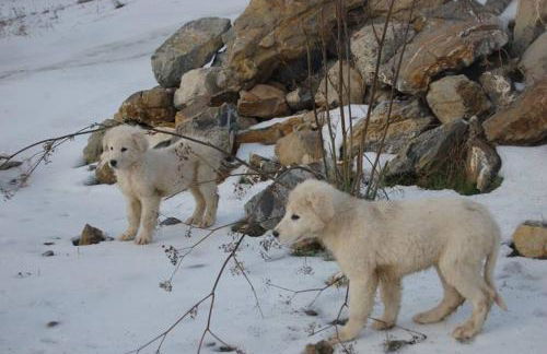 Ciuchi House - Foto 12