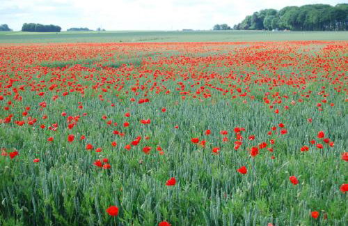 Le Relais du Hibou - Foto 78