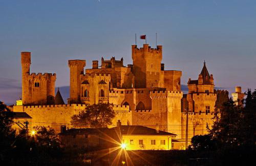 Apartamentos Ribera Navarra - Bardenas - Photo 39