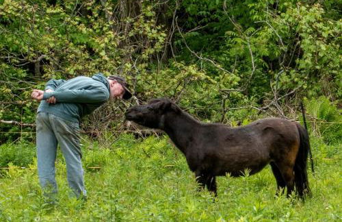 Luxury Yurt Rental Hidden in the Forest near Bristol, Vermont - Foto 24