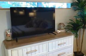 The Getaway - Foto 11