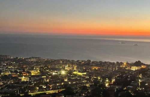 la gerbera - Foto 27