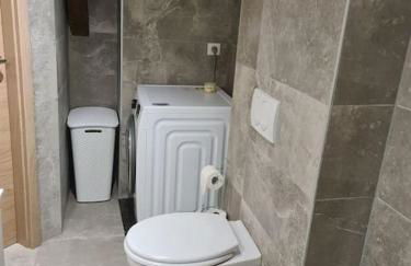 Appartement Proche Aéroport Bâle/Mulhouse - Foto 12