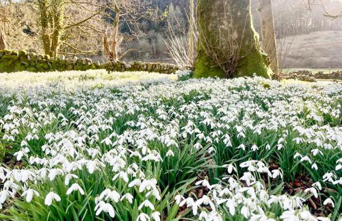 Mossdale Cottage - Foto 18