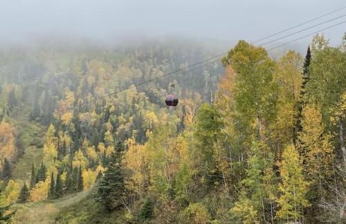 Lutsen Mtn Condo, Ski in Ski out, Pool, Hot Tub, Fitness - Foto 47