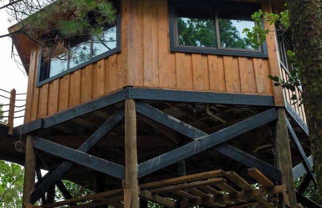 The Grand Forest Jarabacoa - Photo 3