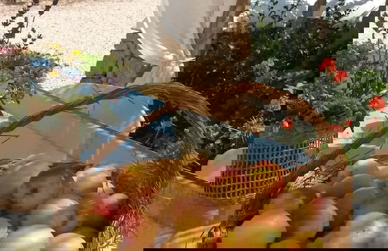 Agroturismo Biniati Des Pi - Photo 50