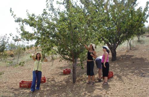 Arodamos Guesthouse - Foto 61