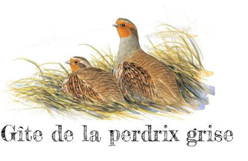 Charmante maison de campagne avec jardin privé, près de Paris et Orléans, idéale pour familles - FR-1-590-136 - Foto 3