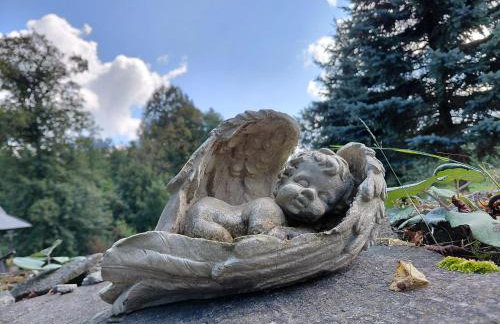 Karolówka Nad Osławą - Foto 25