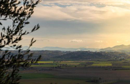 Pura Apartment - Foto 11