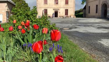Le Pavillon des Officiers - Foto 3