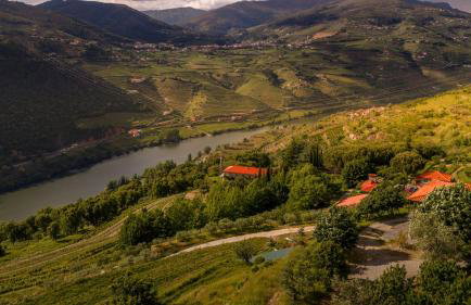 Lemon Tree Cottage at Terrus Winery - Foto 2