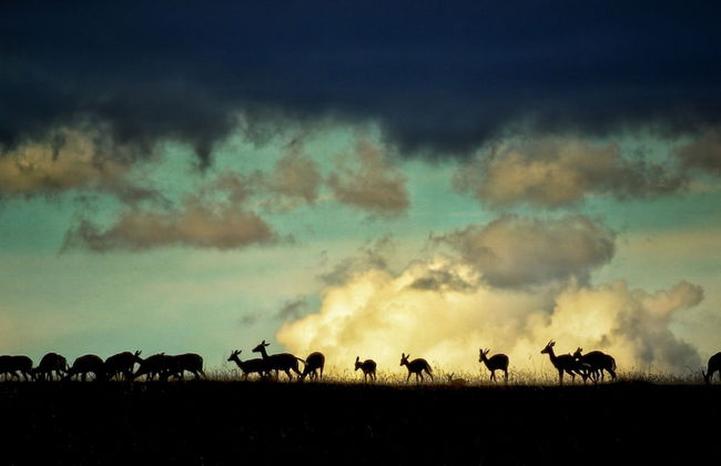 Ol Bobongi House - Foto 20