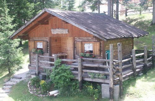 Aria D'Bosch - Foto 16